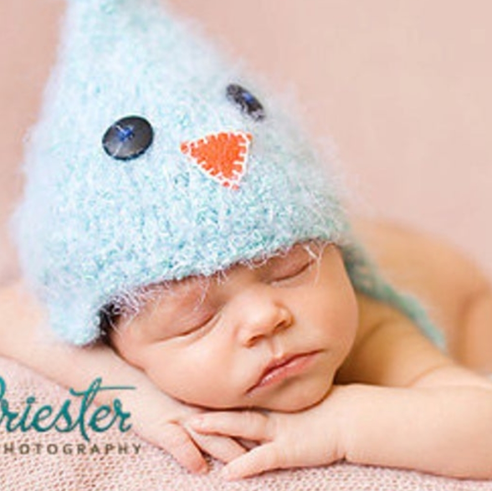 Baby Hat, Newborn Blue Bird Bonnet Photo Prop